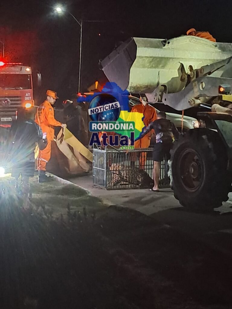 Foto da matéria