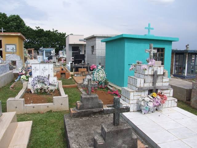 Foto da matéria