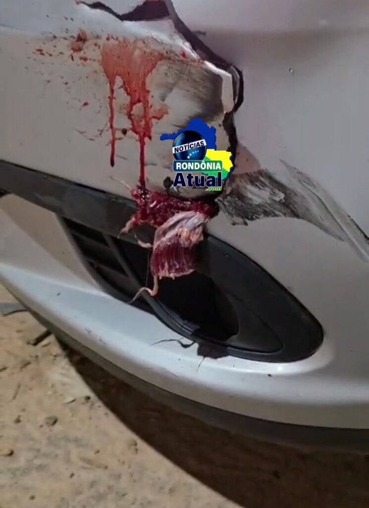 Foto da matéria
