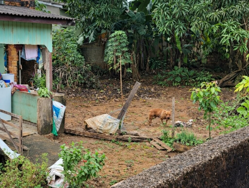 Foto da matéria