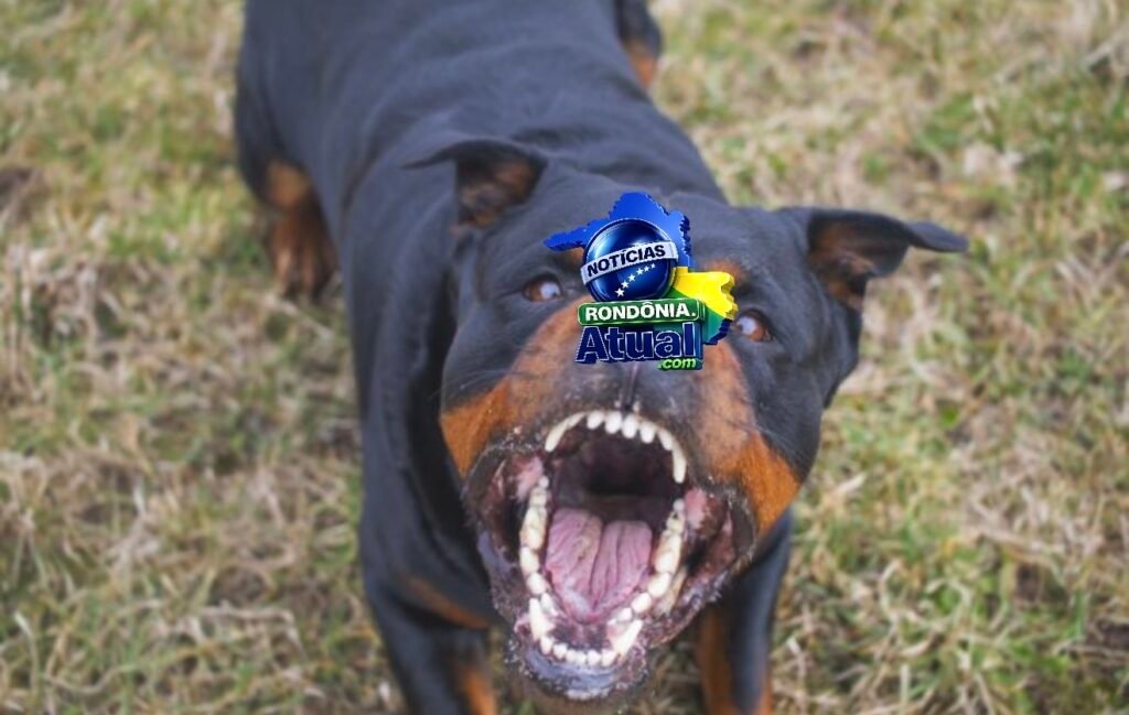 Foto da matéria