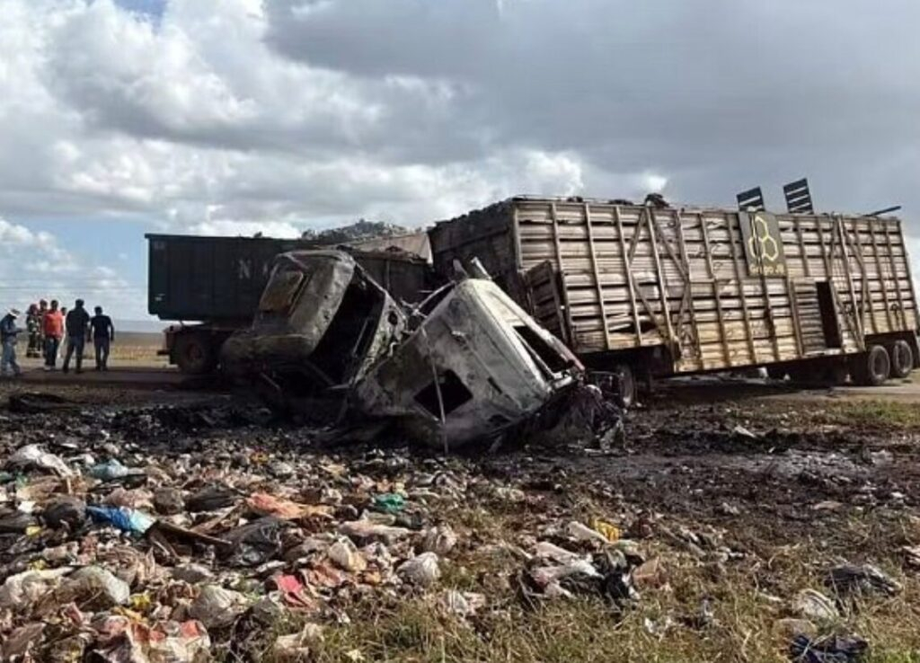 Foto da matéria