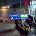🚨 JI-PARANÁ – CAPIVARA SURGE NO MEIO DA PISTA E MOTOCICLISTA SOFRE GRAVE QUEDA NA RO-135