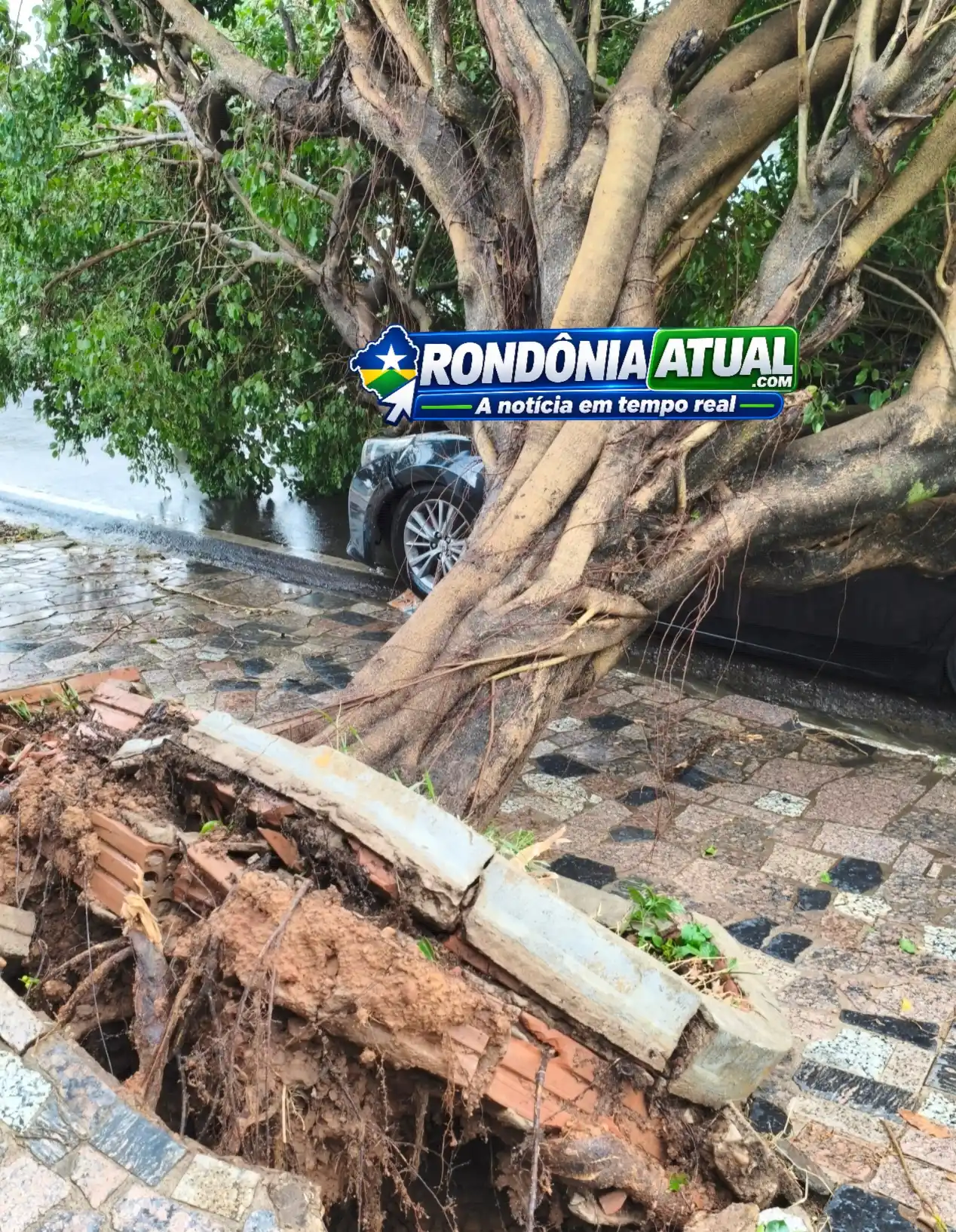 Foto da matéria
