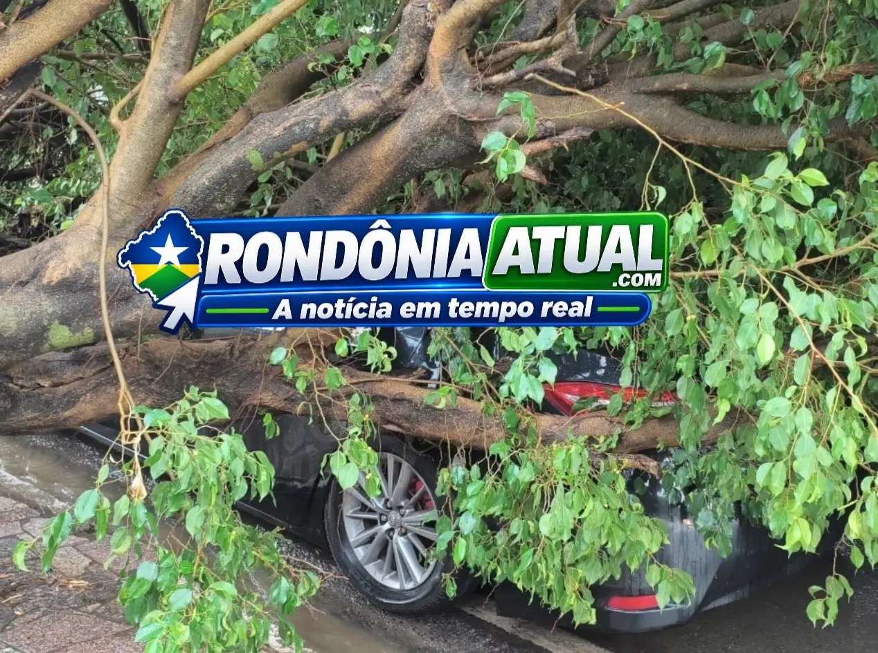 Foto da matéria