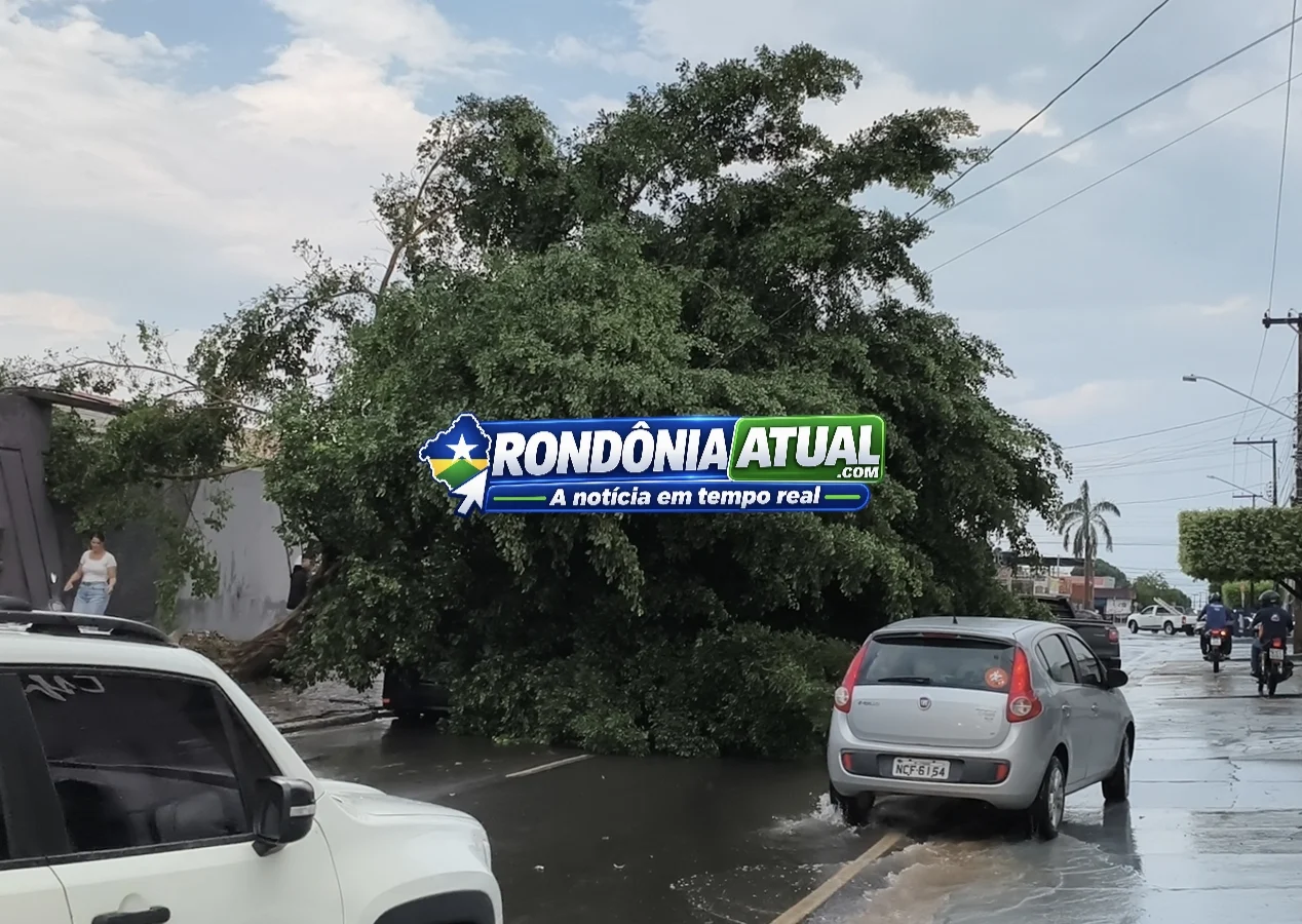 Foto da matéria