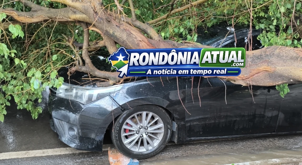 Foto da matéria