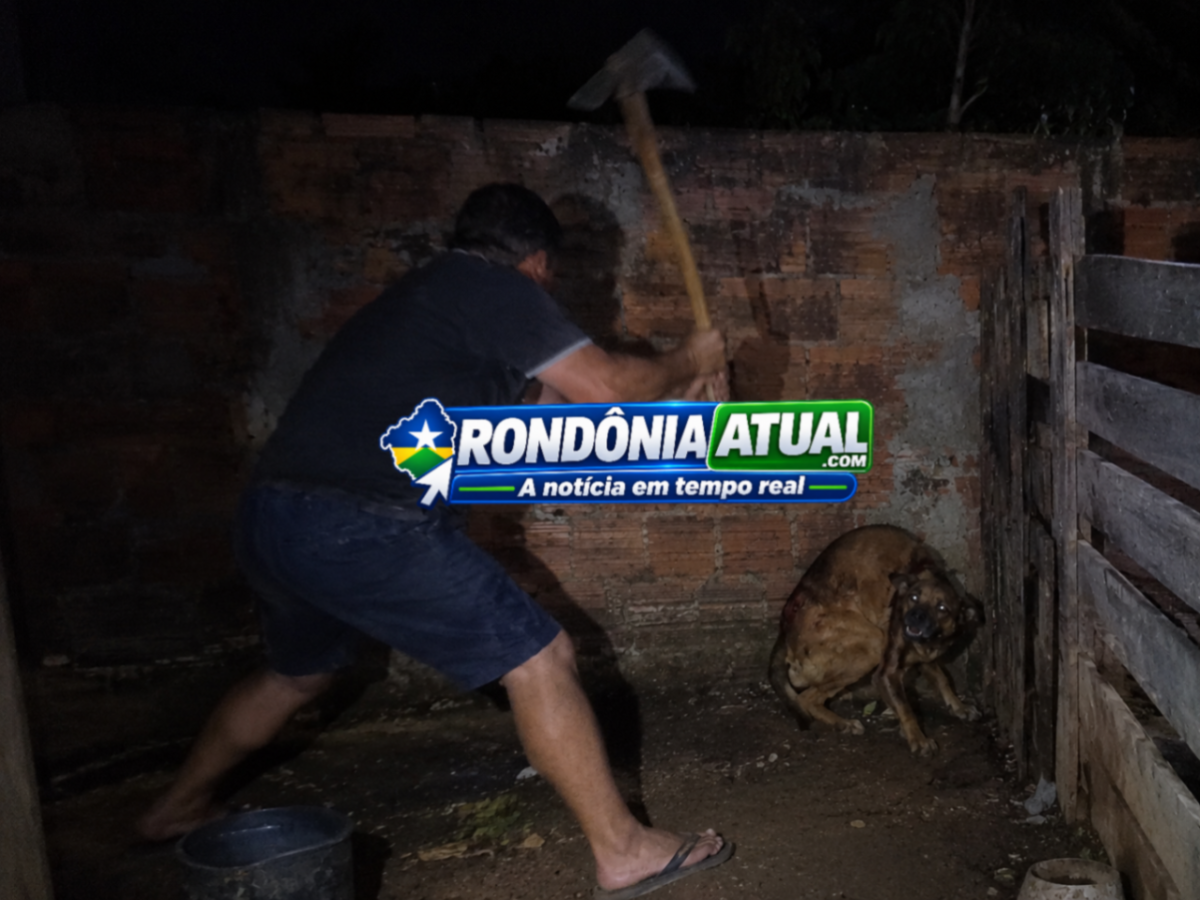 Foto da matéria