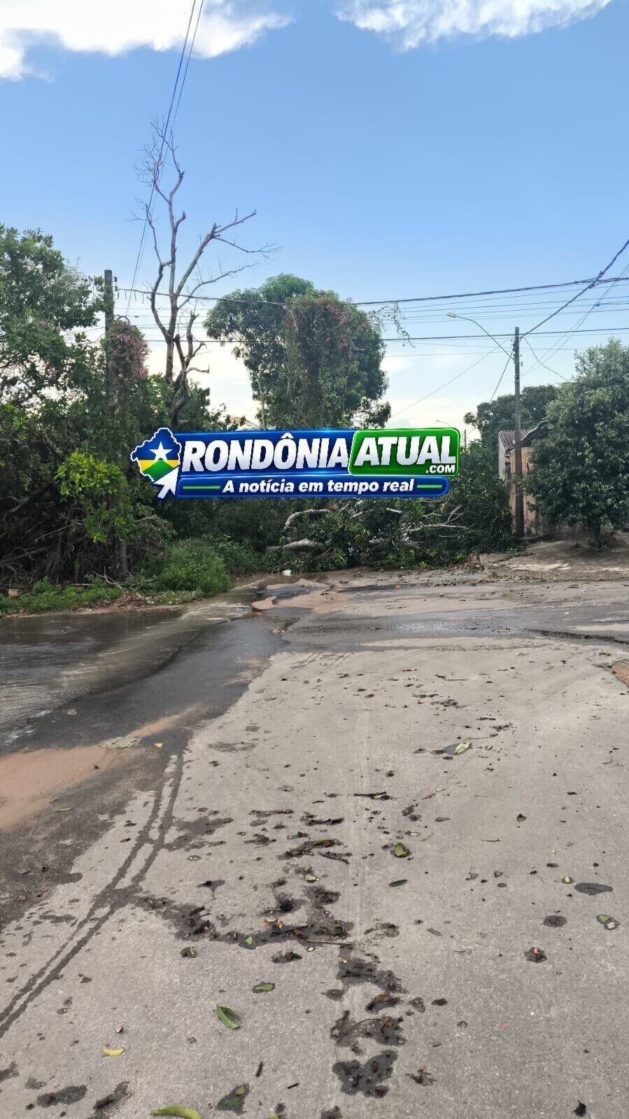 Foto da matéria