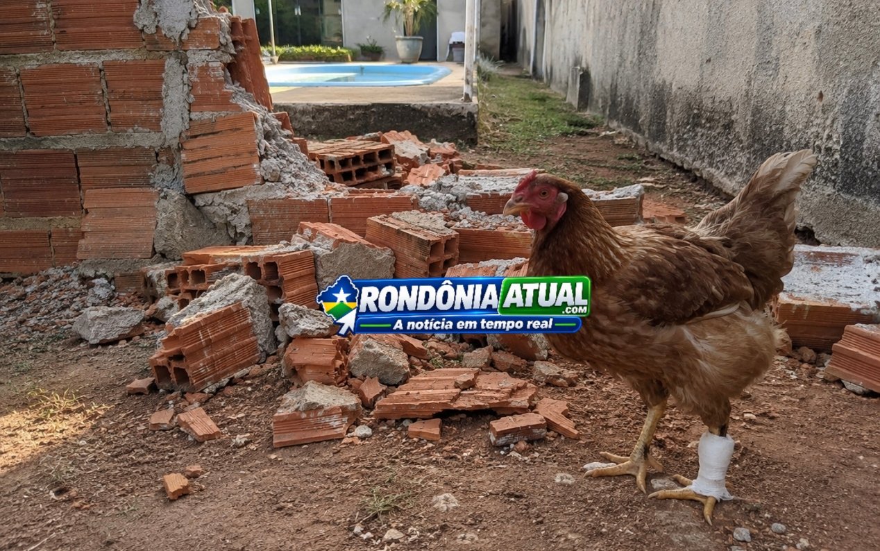 Foto da matéria
