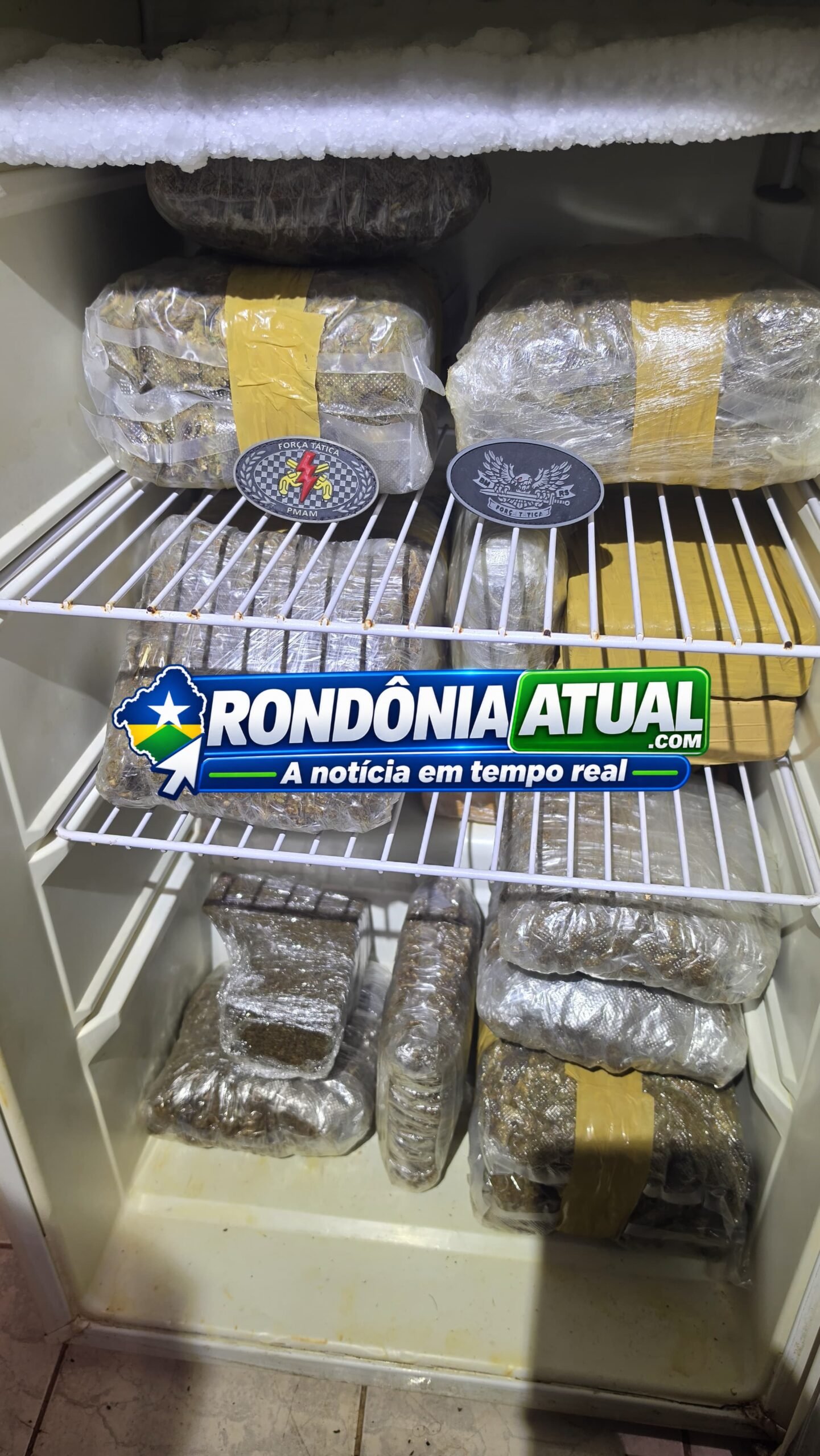 Foto da matéria