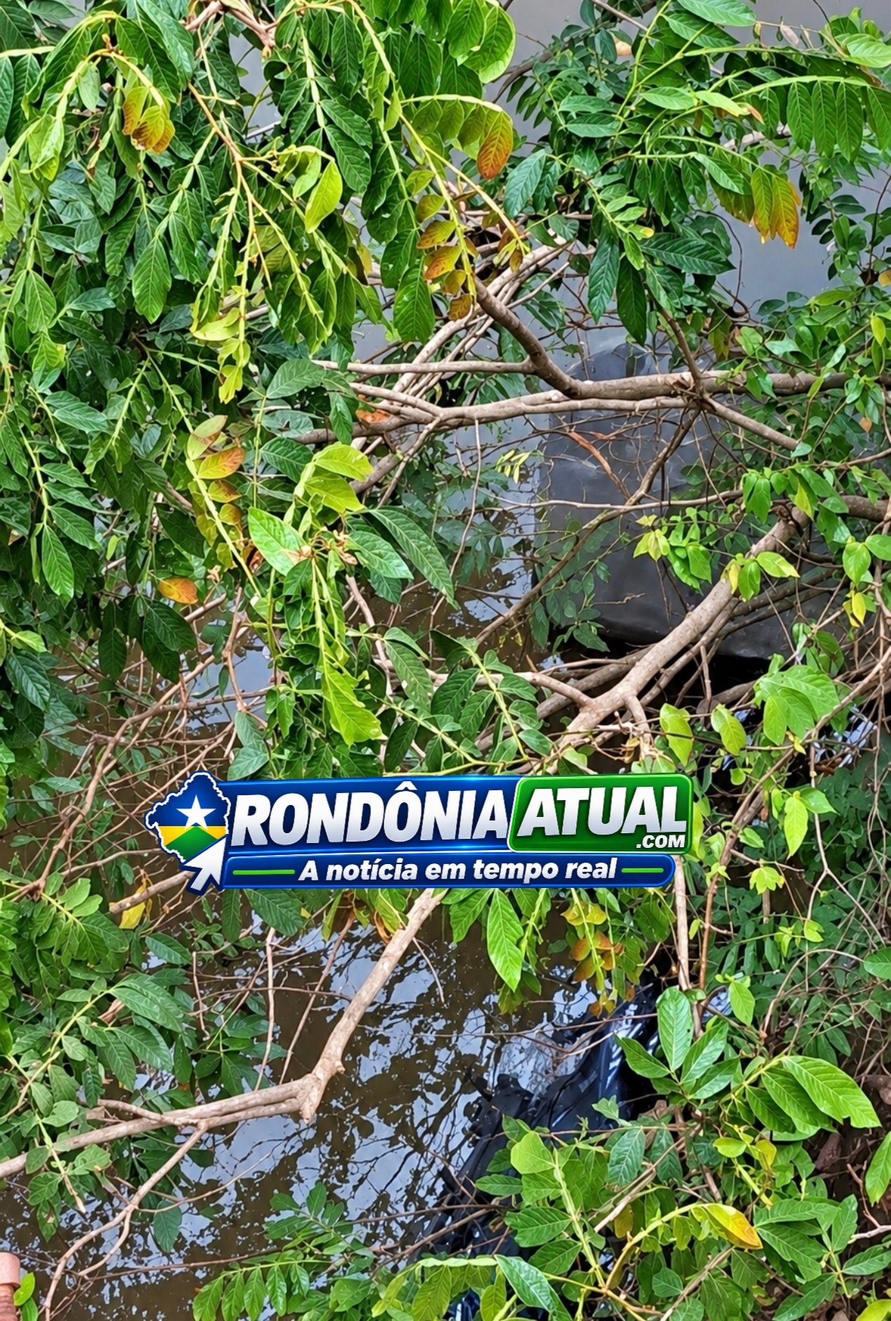 Foto da matéria