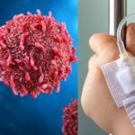 CIÊNCIA BRASILEIRA AVANÇA: terapia contra o câncer consegue remissão completa em 72% dos pacientes